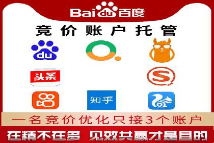 网络推广竞价策略解析与应用案例